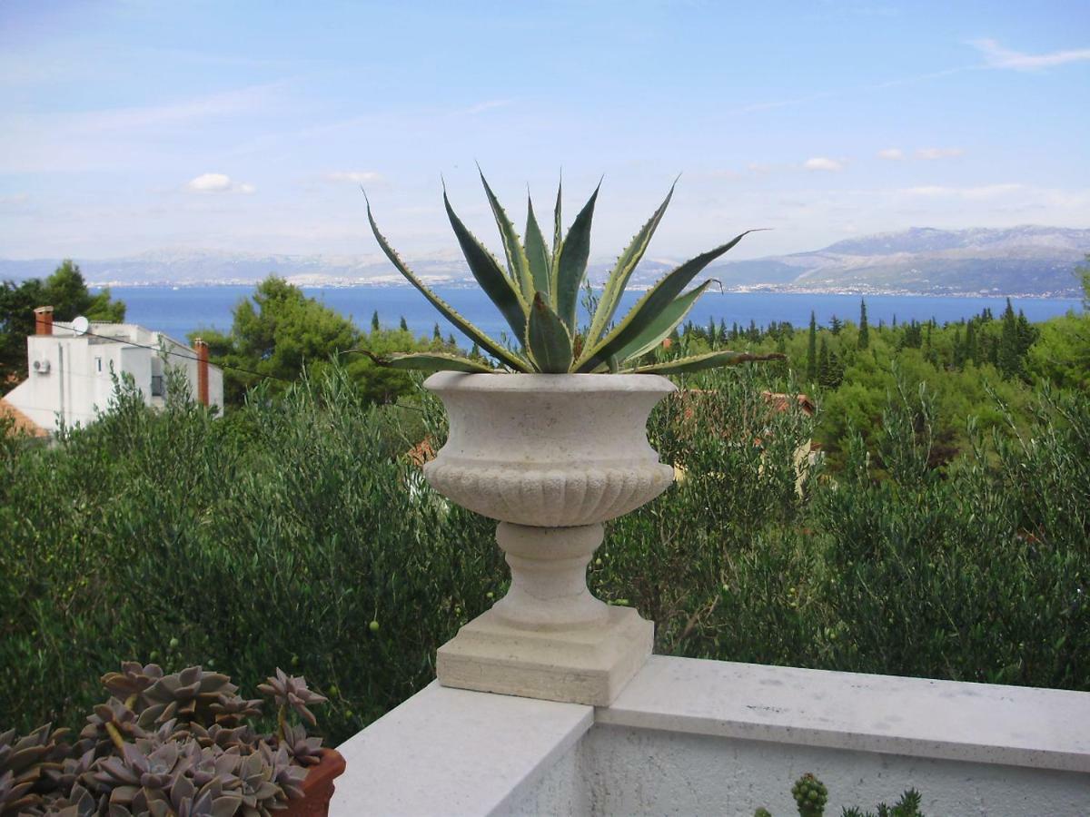 Apartment Petranic Supetar